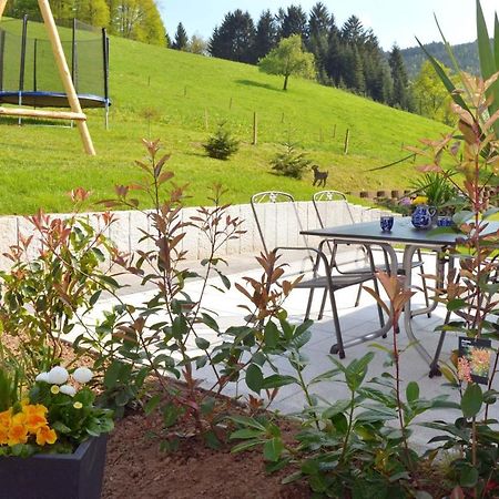 Apartments Zipperhof Lahr/Schwarzwald Extérieur photo